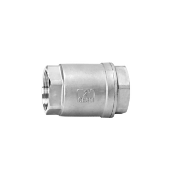 Internal Spring Vertical Check Valve