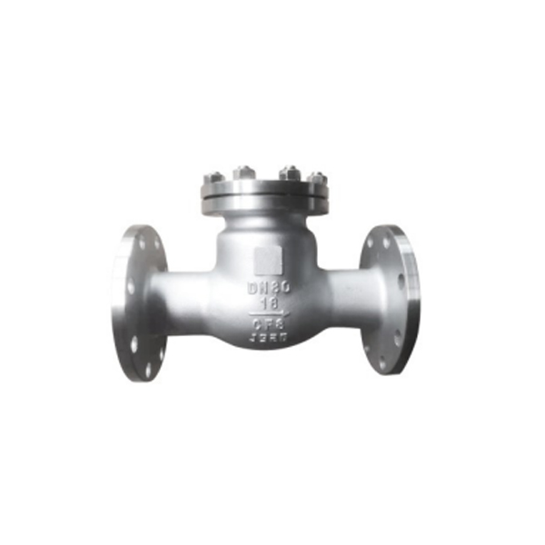 National Standard Swing Check Valve