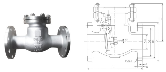 National Standard Swing Check Valve